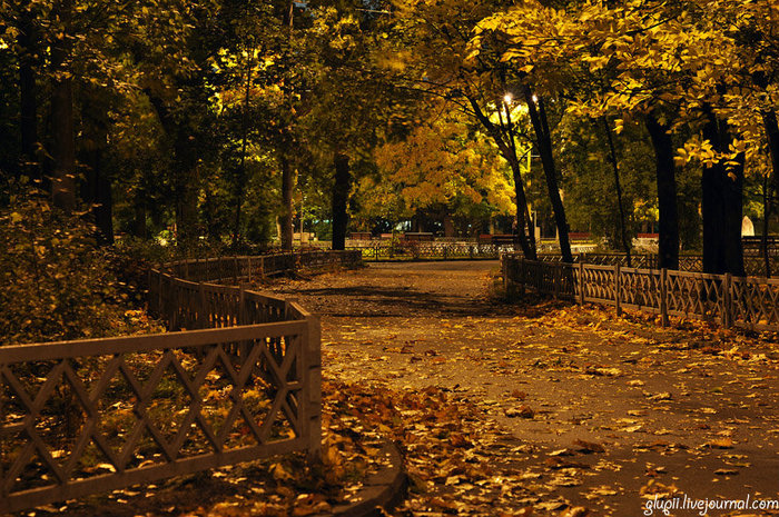 Осень. Москва, Россия
