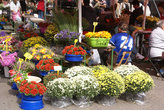 Цветы на рынке в Загребе