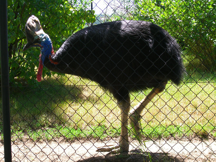 PRAHA ZOO Прага, Чехия