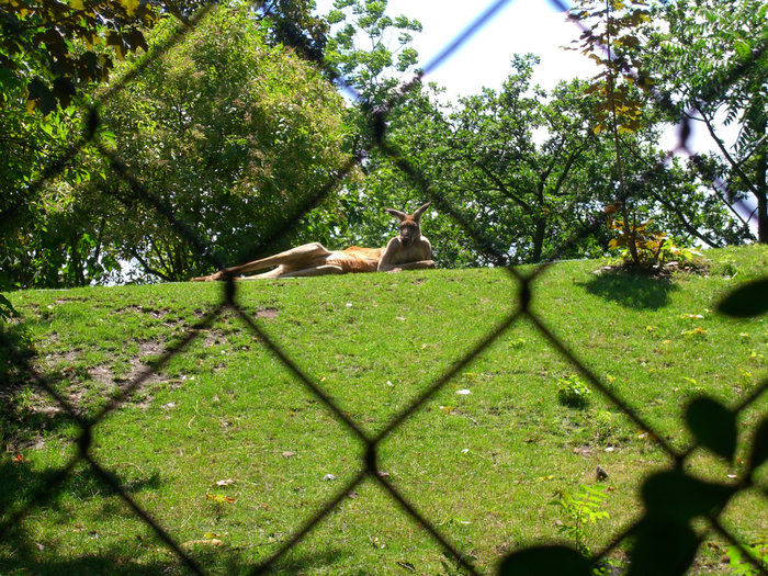 PRAHA ZOO Прага, Чехия