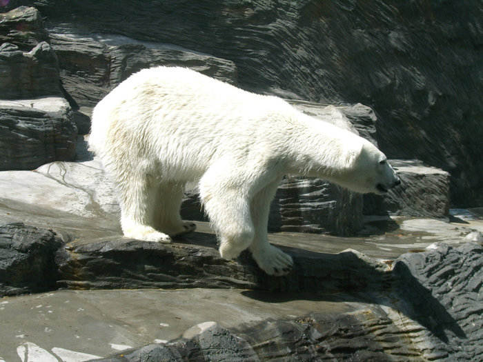 PRAHA ZOO Прага, Чехия