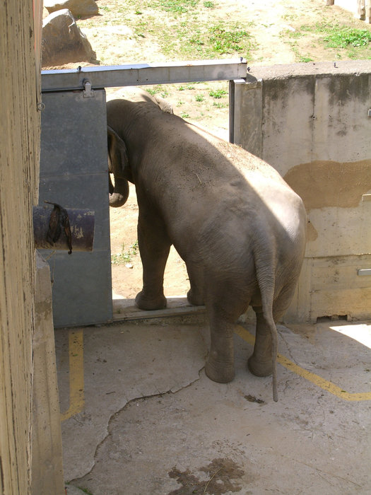 PRAHA ZOO Прага, Чехия