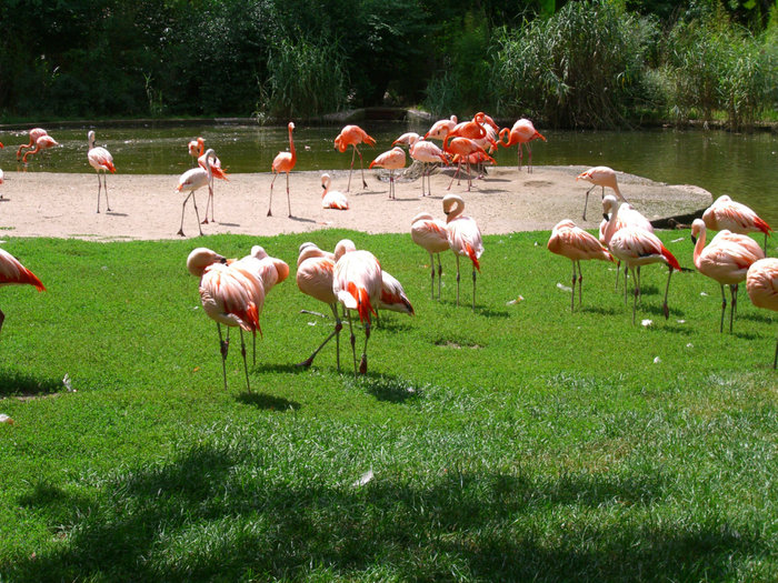 PRAHA ZOO Прага, Чехия