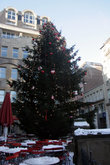 елка на площади Кельна
