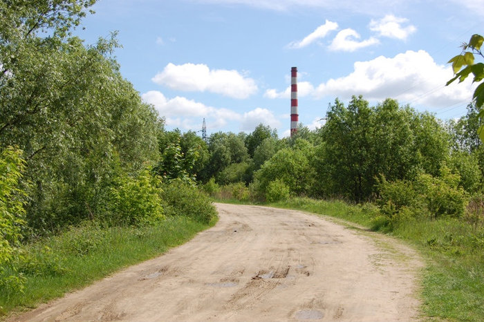 Джунгли Госпитального острова Брест, Беларусь