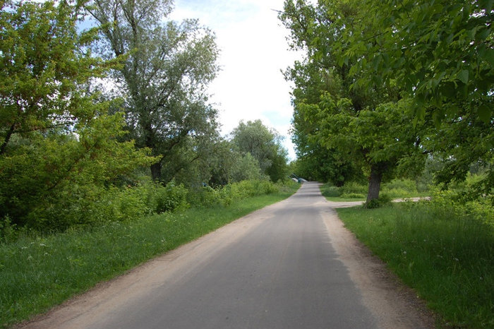 Джунгли Госпитального острова Брест, Беларусь