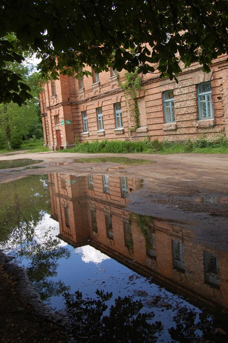 Джунгли Госпитального острова Брест, Беларусь