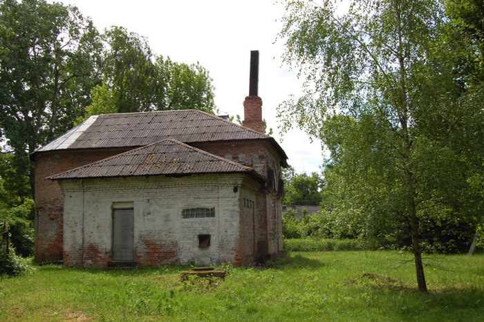 Джунгли Госпитального острова Брест, Беларусь