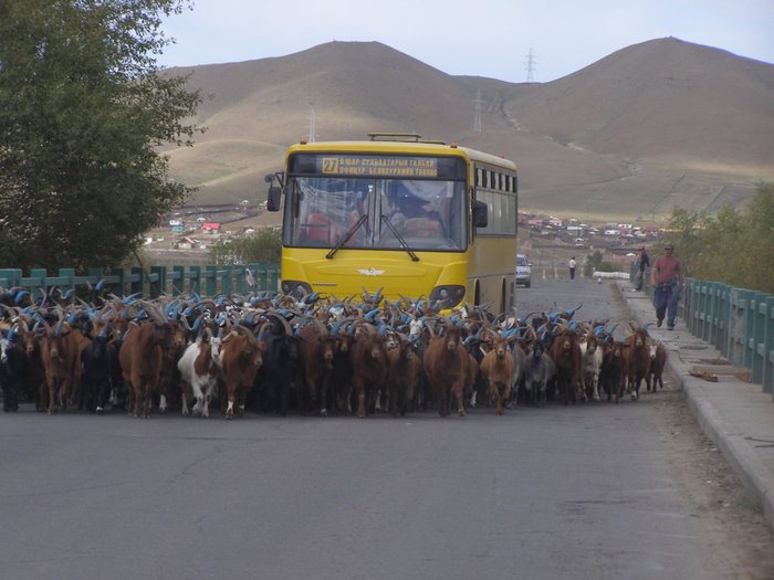 Турбина в Монголии. Рассказ 1