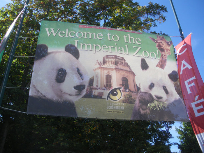 Зоопарк, где можно увидеть панду Вена, Австрия