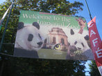 Зоопарк, где можно увидеть панду
