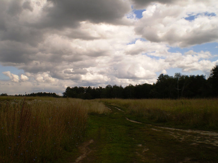 Дорога к речке Алтайский край, Россия