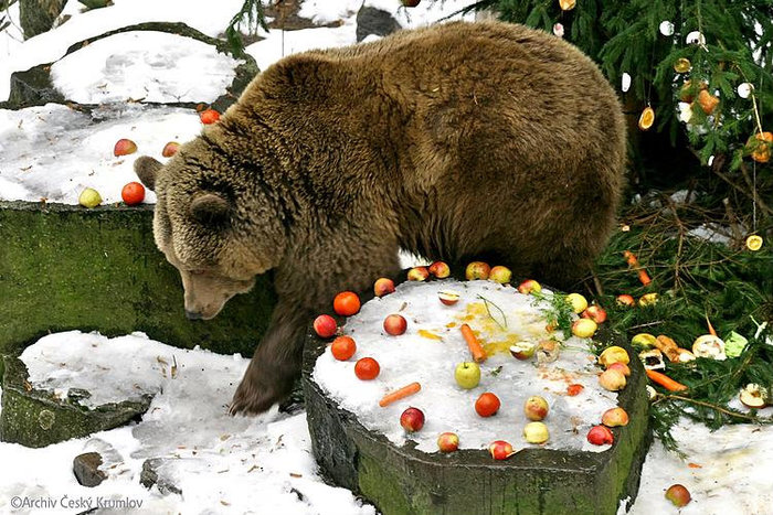 Любовь с первого взгляда... Прага, Чехия