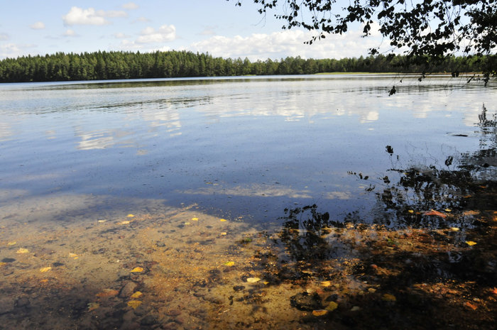 прозрачная вода... Гакково, Россия