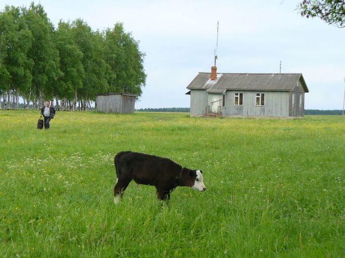 Наконец, мы приземлились в Кинешме. Серый домик — енто местный аэропорт! :-)))) Россия