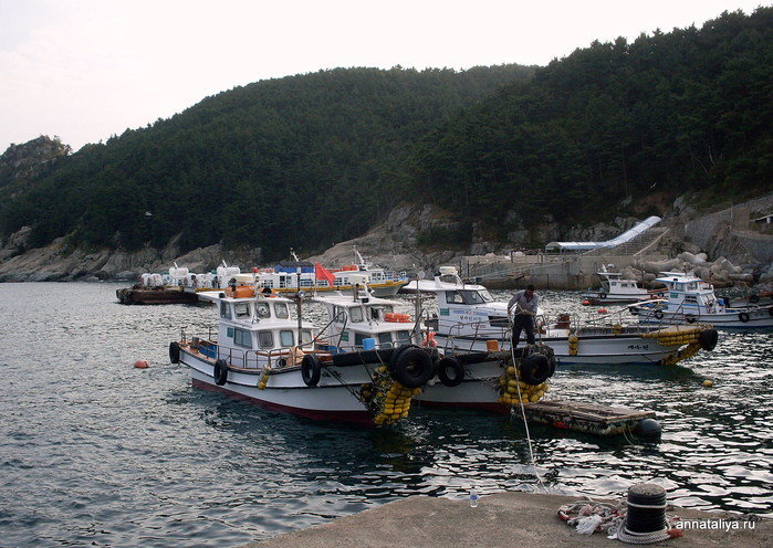 В бухте находится небольшая пристань, в которой, когда мы приехали, стояло несколько рыбацких катеров. Кодже, Республика Корея