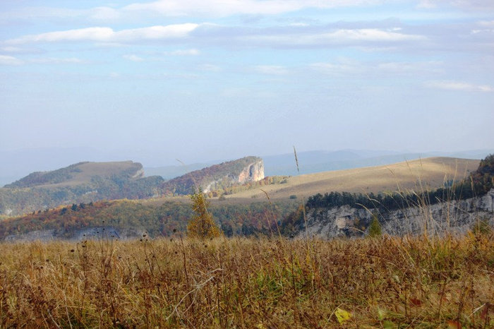 Осень в макромире Каменномостский, Россия