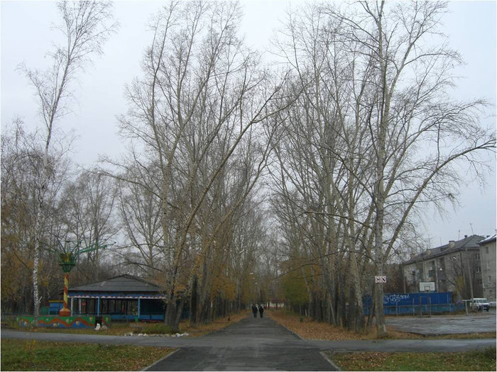 По аллее среди деревьев Бердск, Россия