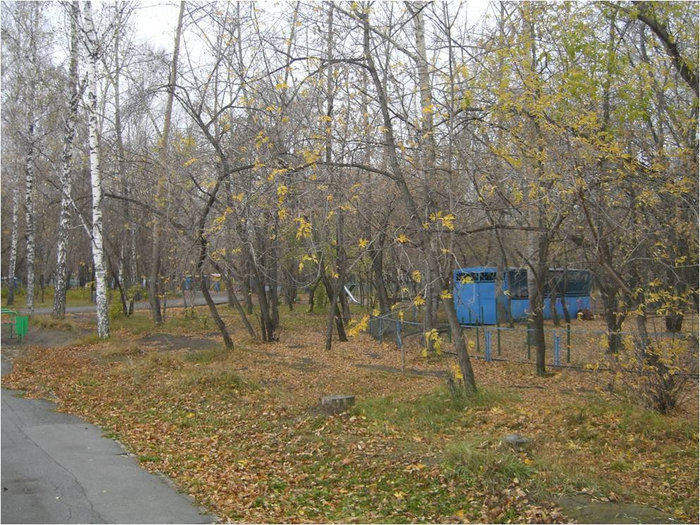 Почти все листья опали Бердск, Россия