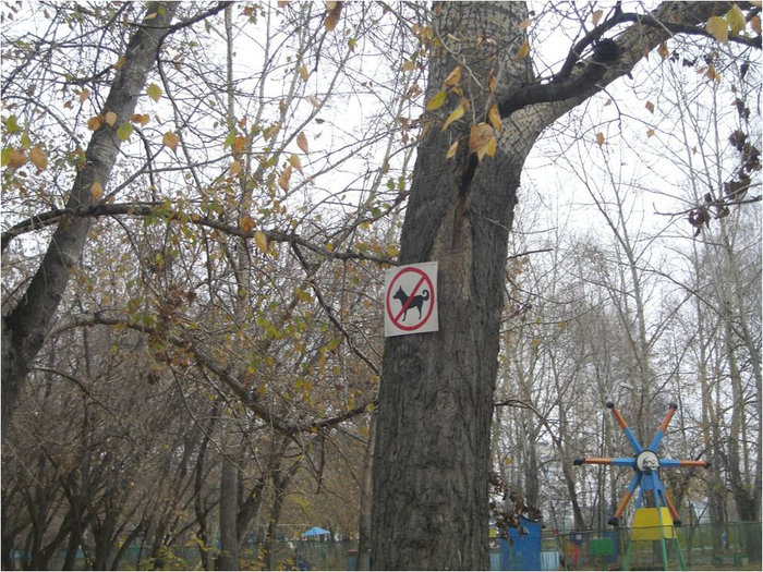 Такие значки здесь везде Бердск, Россия