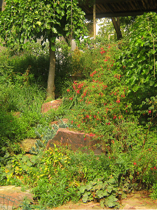 Сад Анри Ситроена Париж, Франция
