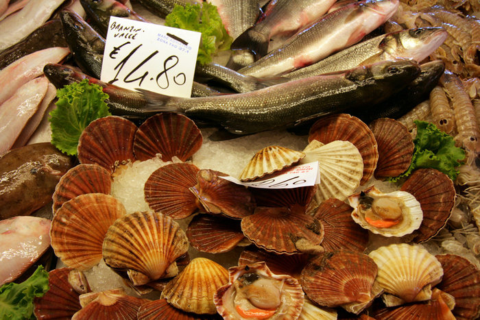 моллюски Венеция, Италия