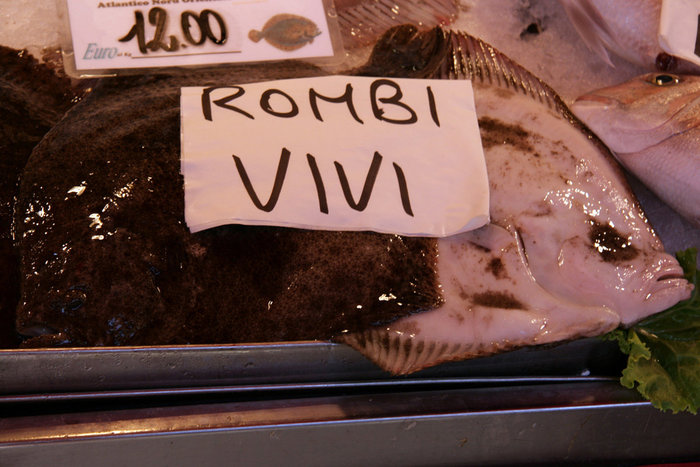 рыба-ромб Венеция, Италия