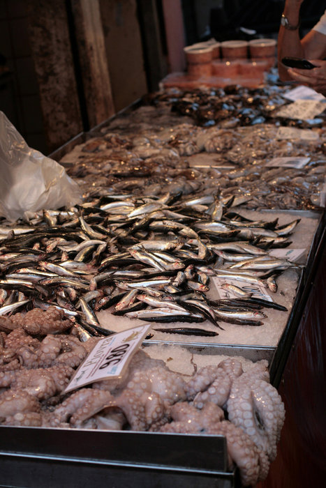 осьминоги и всякая мелочь Венеция, Италия
