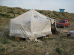 Нелегальный бар в палатке-шатре