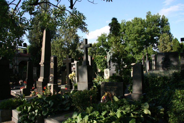 вышеградское кладбище Прага, Чехия