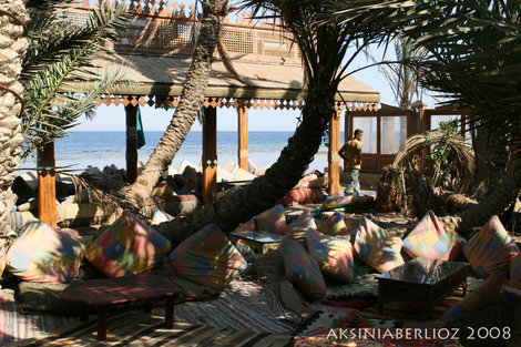 обычная дахабская кафешка — подушки и тень пальм :) Дахаб, Египет