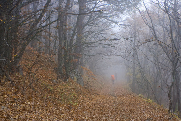 И еще немножко тумана Республика Крым, Россия