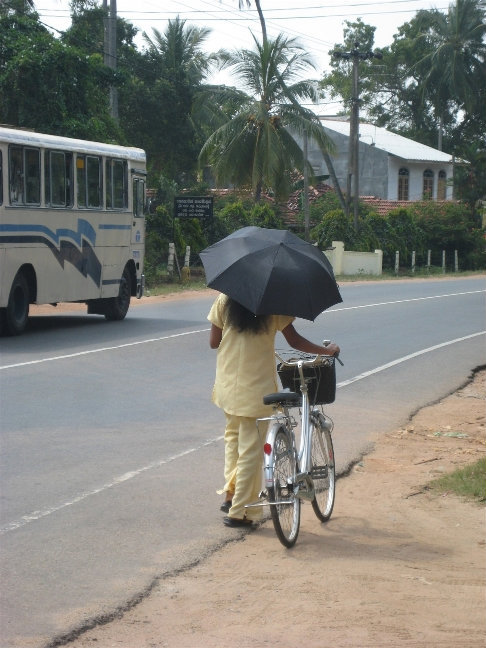 Не думайте, что это прикол — на Шри Ланке в жаркий солнечный день большинство жителей женского пола использует зонт как защиту от солнца. А солнышко, скажу я вам, тут горячее :) Шри-Ланка