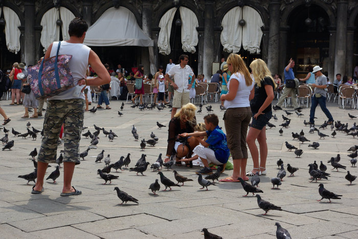 Люди и голуби Венеция, Италия
