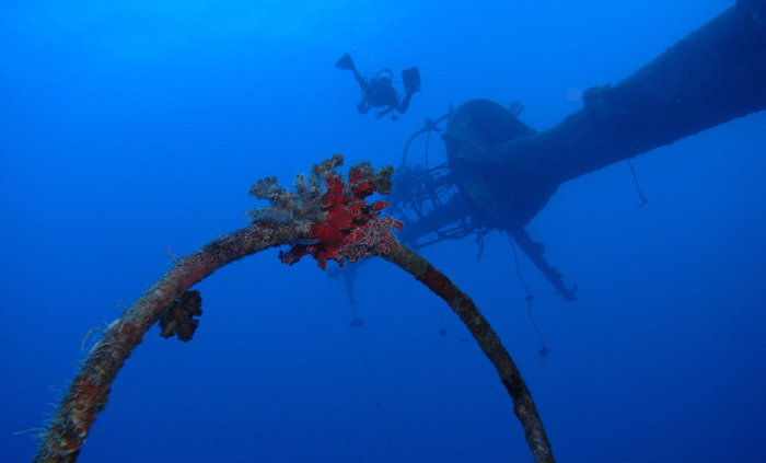 Сафари - юг Красного моря Провинция Красное Море, Египет