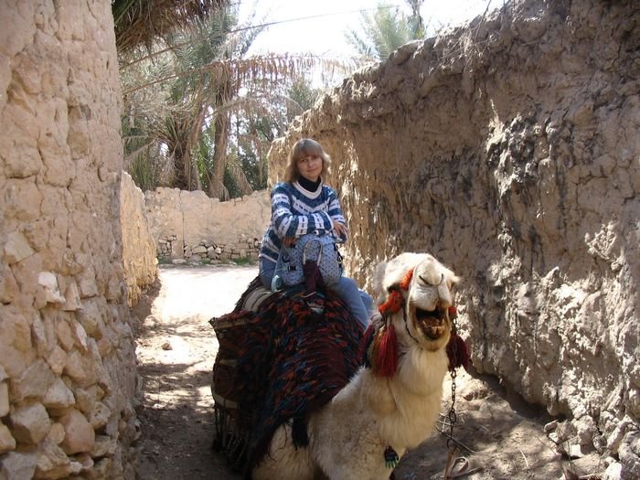 А это я перед трапезой в оливковом саду, кою мне устроили владельцы сего верблюда. :-))) Сирия