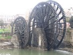 Но славится Хама нориями — древними колесами, которые аж с 4 века поднимали воду из Оронта на городской акведук. Вот они!