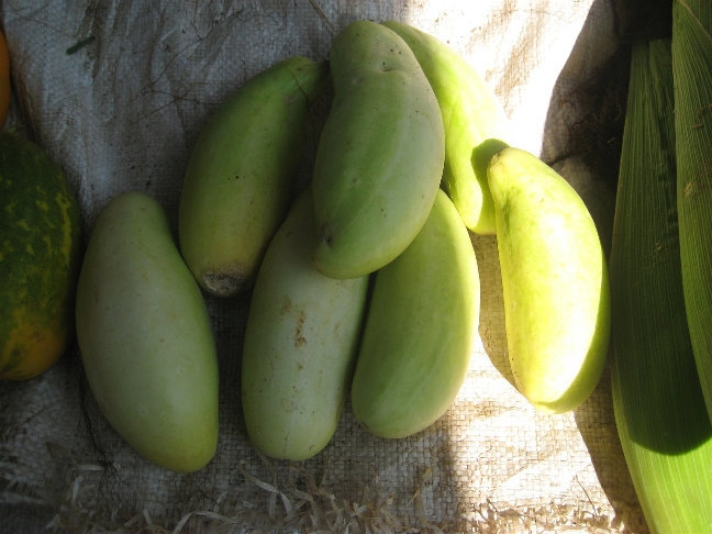 Овощи Шри-Ланка