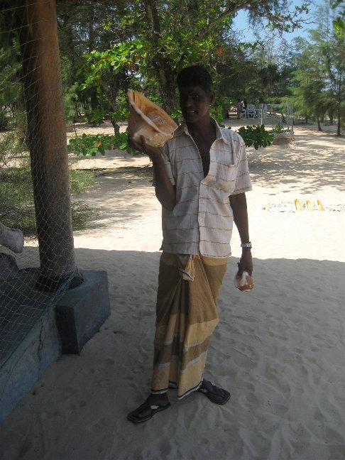 Продавец ракушек Тринкомали, Шри-Ланка