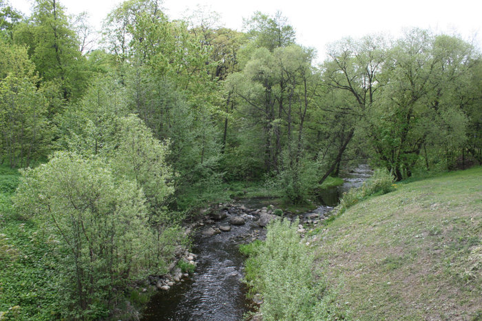 Речка Караста Ломоносов, Россия