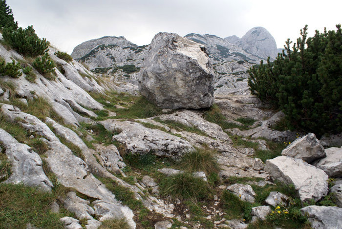 Огромный камень Национальный парк Дурмитор, Черногория