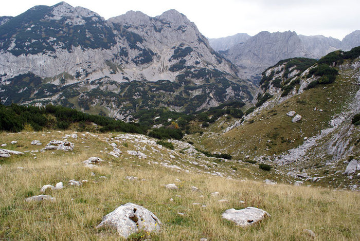 В горах Дурмитор осенью Национальный парк Дурмитор, Черногория