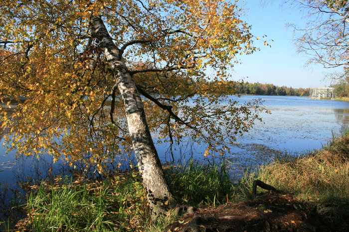 Белое озеро, справа виднеется павильон Венеры на острове Любви Гатчина, Россия