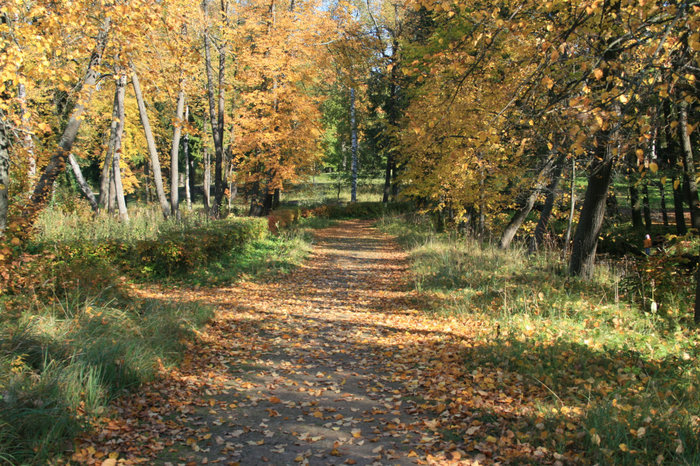 Аллеи парка Гатчина, Россия