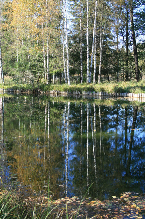 Осень в Дворцовом парке Гатчина, Россия