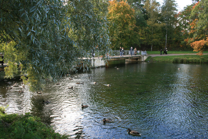 Мост через Белое озеро Гатчина, Россия