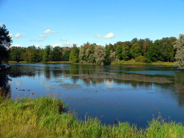 Белое озеро Гатчина, Россия