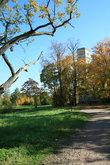 Дворец со стороны Голландского парка