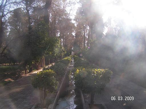 Сад в солнечном свете Шираз, Иран