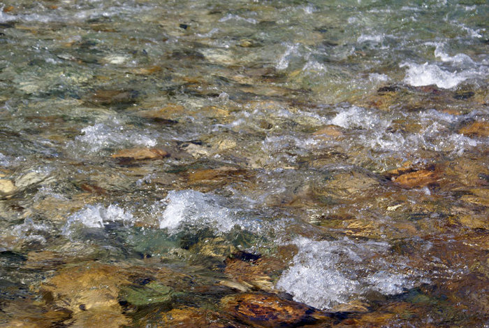 Мелкая речка Тара Область Жабляк, Черногория